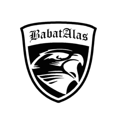 Logo SFW